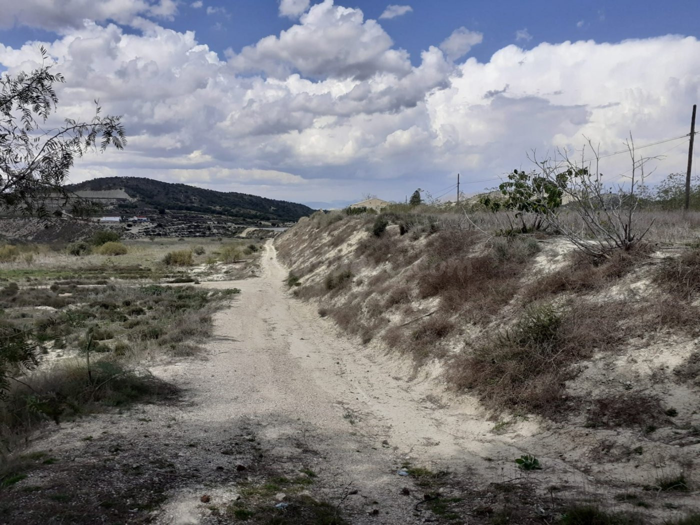 FINCA RUSTICA EN TORREMENDO - foto 5