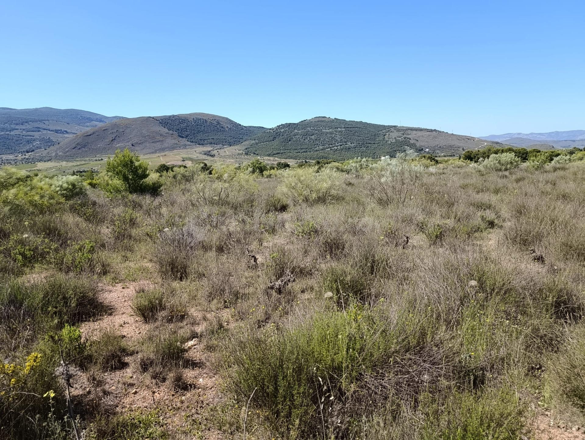 Terreno en venta