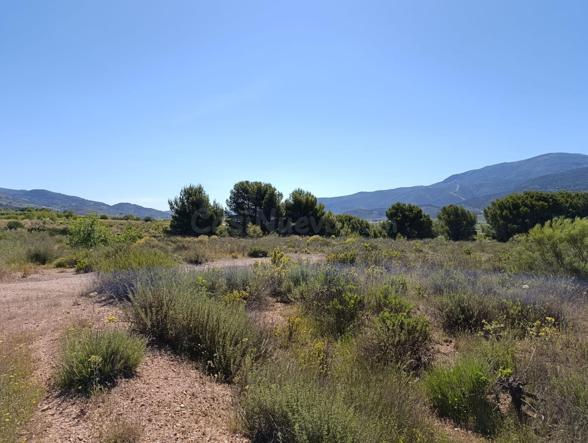 Terreno en venta - foto 4