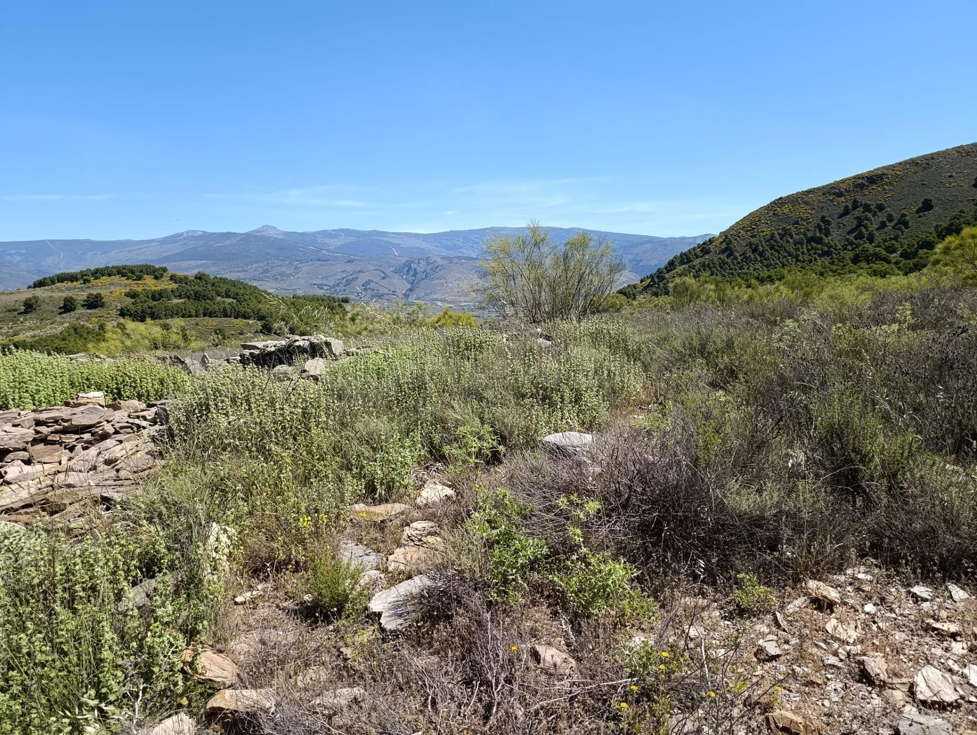 Terreno en venta en Laujar de Andarax - foto 4
