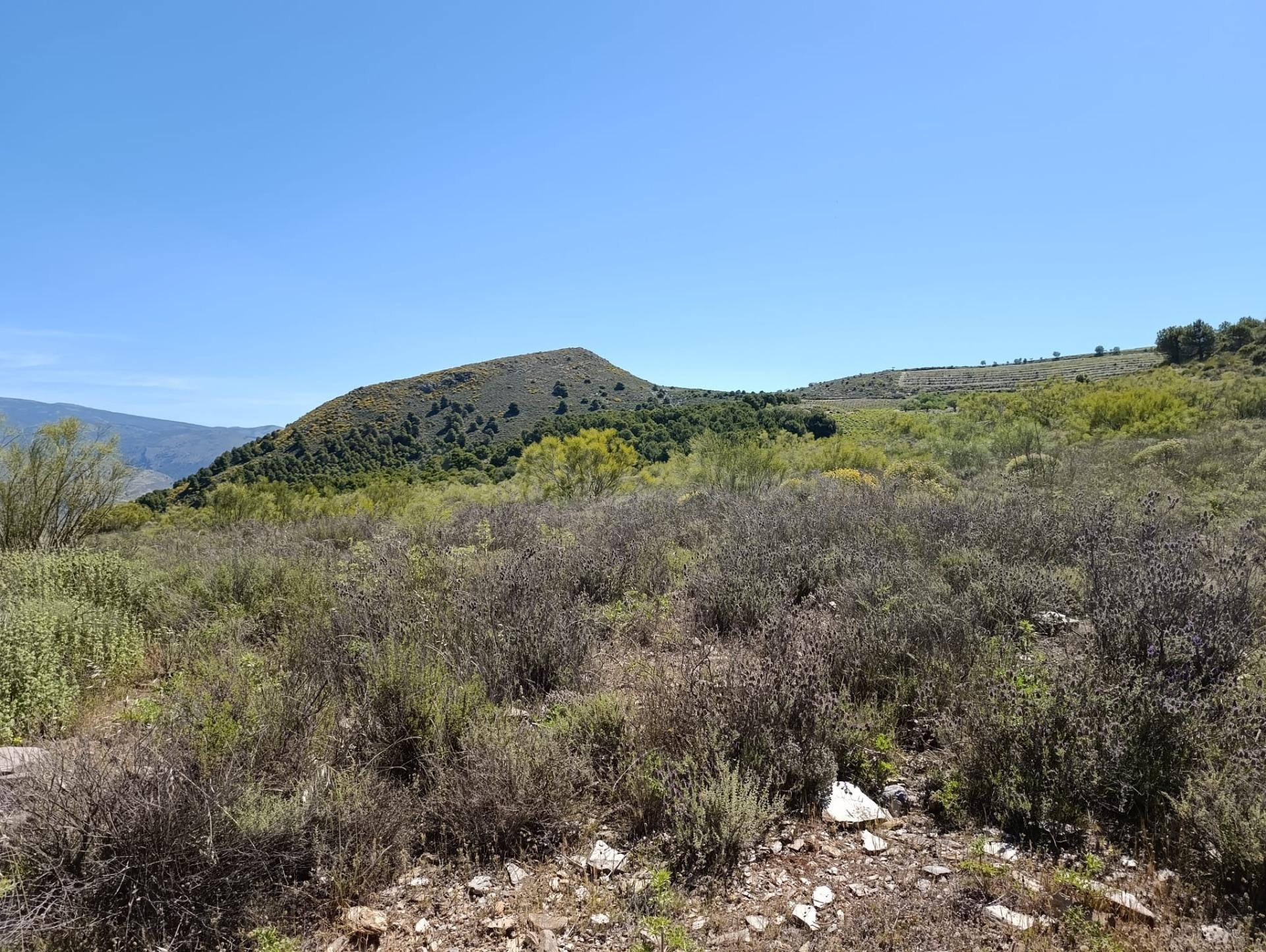 Terreno en venta en Laujar de Andarax - foto 5