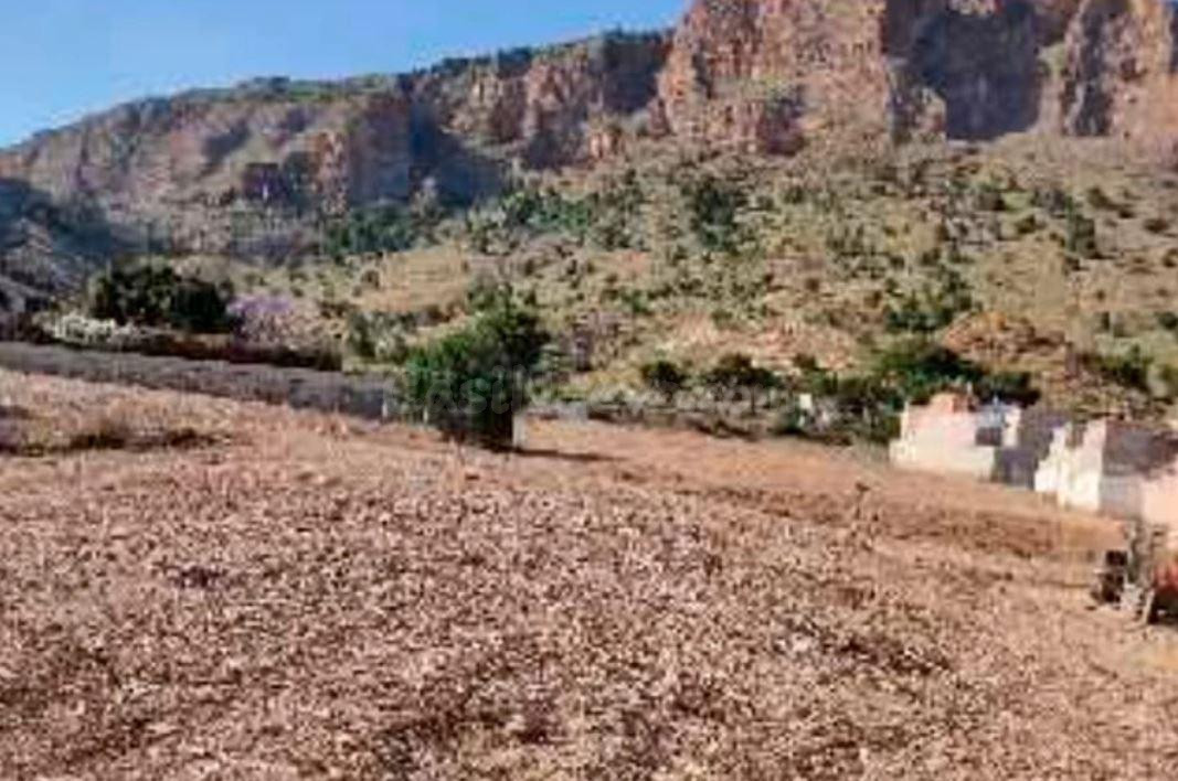Se vende conjunto de 5 parcelas - foto 4