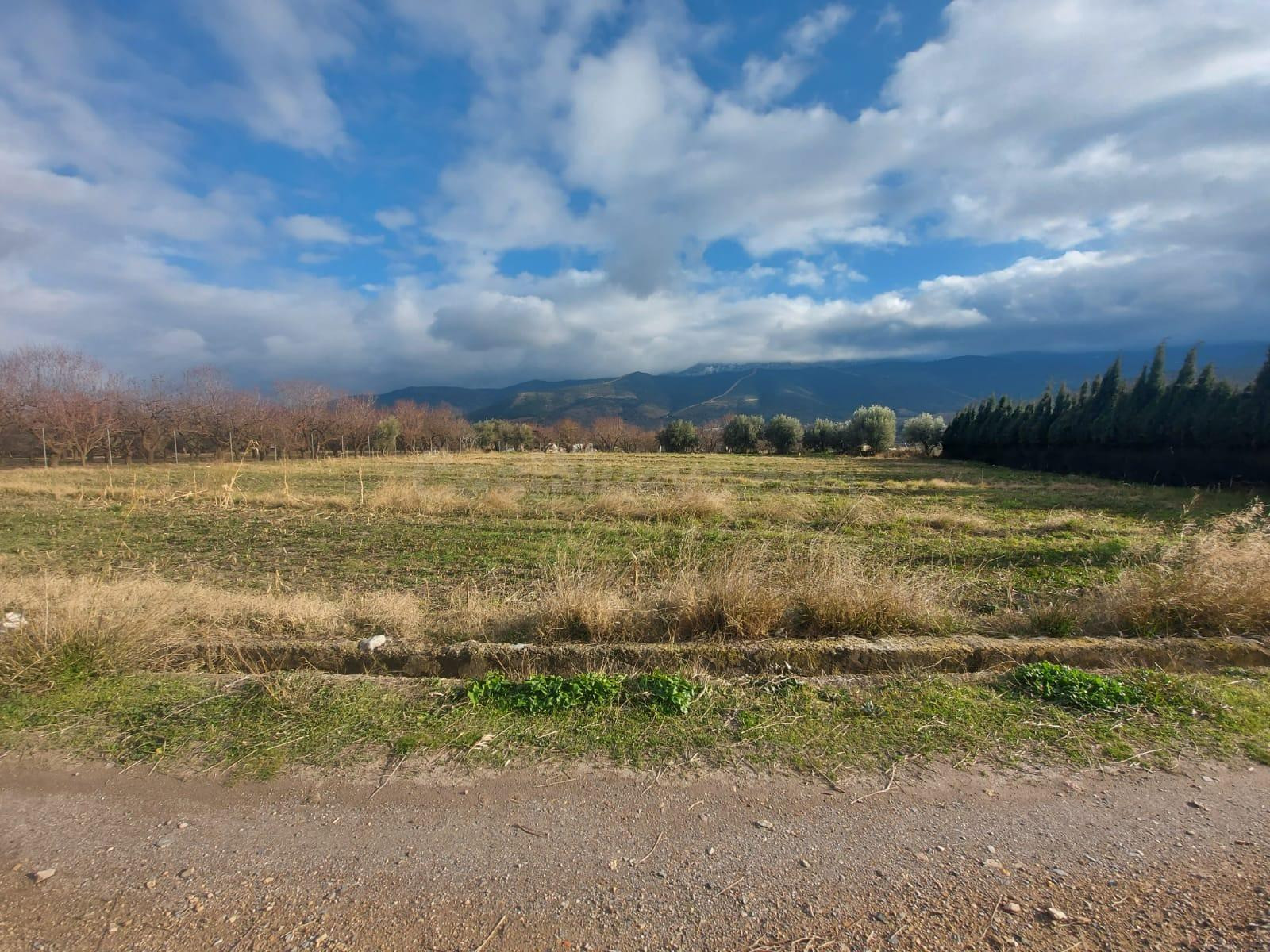 Parcela en venta en Laujar - foto 2