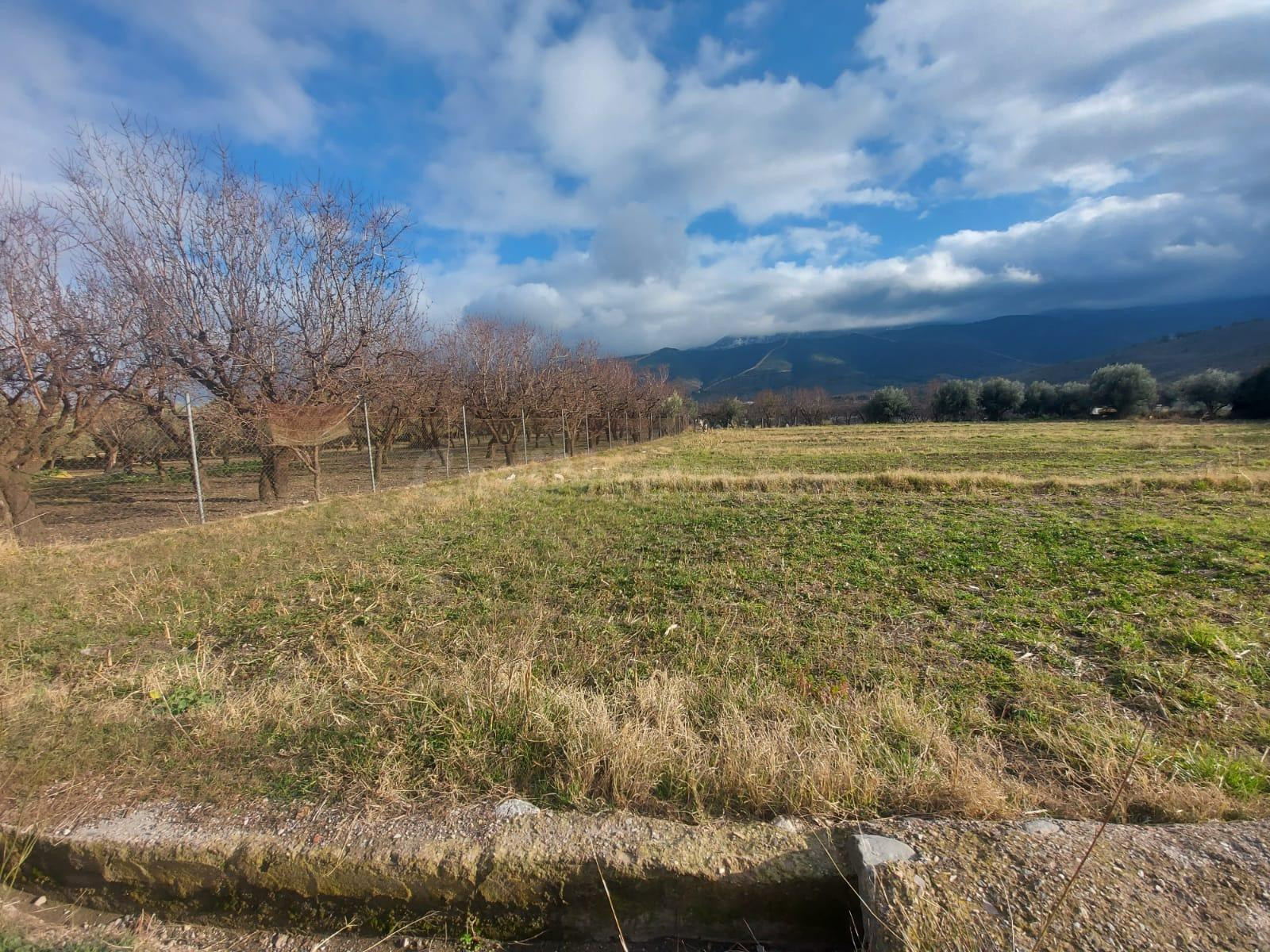Parcela en venta en Laujar - foto 4