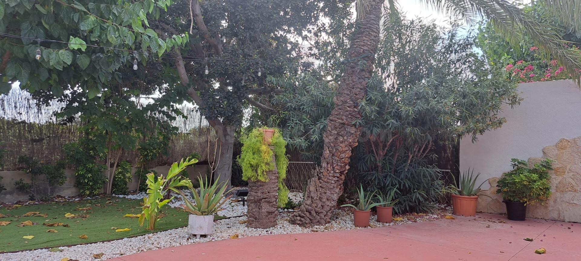 SE VENDE COMPLEJO HOSTELERO EN ELCHE (ALICANTE) - foto 3