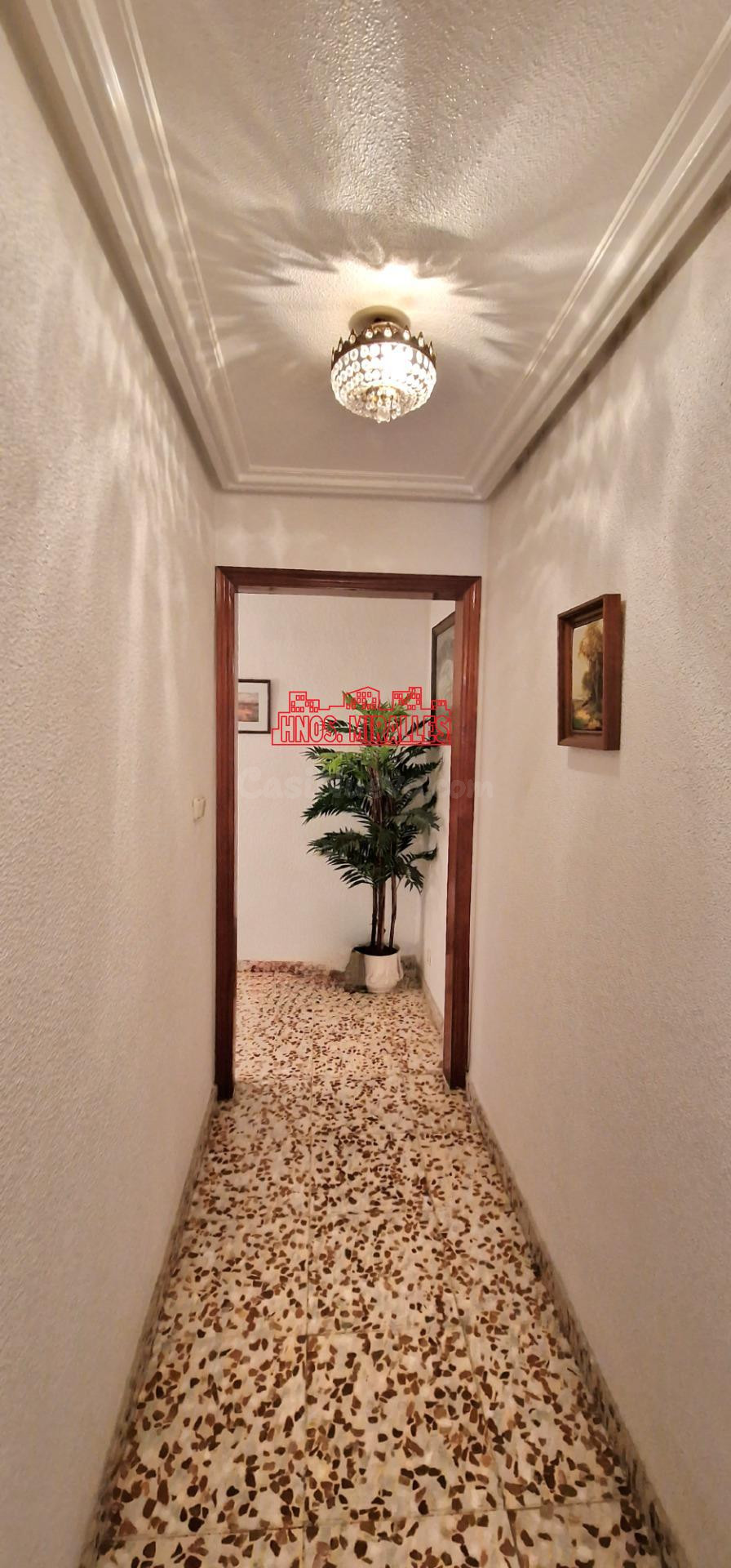 ¡¡INMOBILIARIA HNOS MIRALLES LES PRESENTA ESTA PROPIEDAD EN  - foto 5