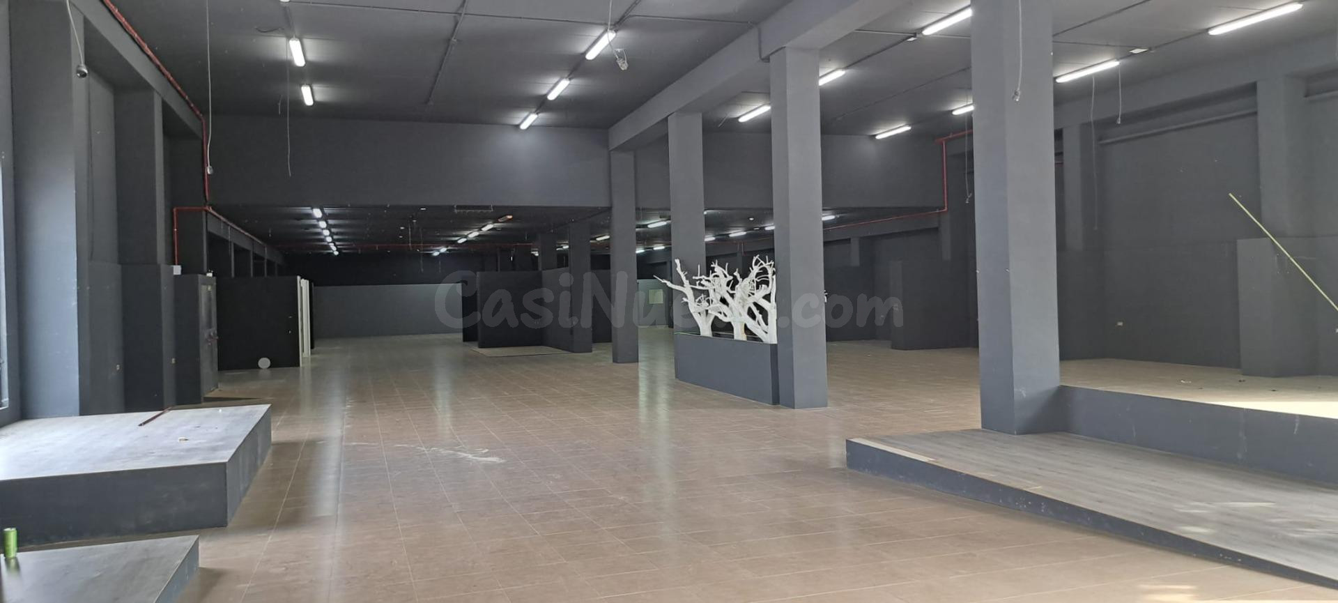 SE ALQUILA LOCAL COMERCIAL EN EL CENTRO DE ALMORADI - foto 5