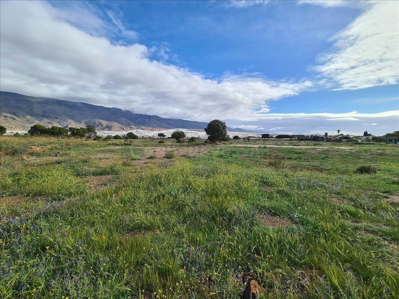 Suelo urbano en venta junto al instituto nuevo en El Ejido - foto 2
