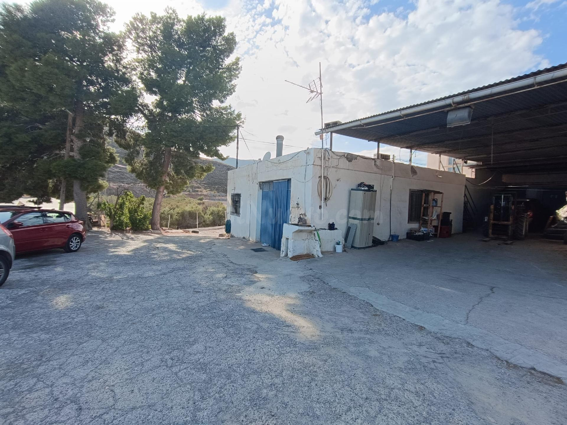 Casa, 2 fincas y dos naves en venta en Berja - foto 3