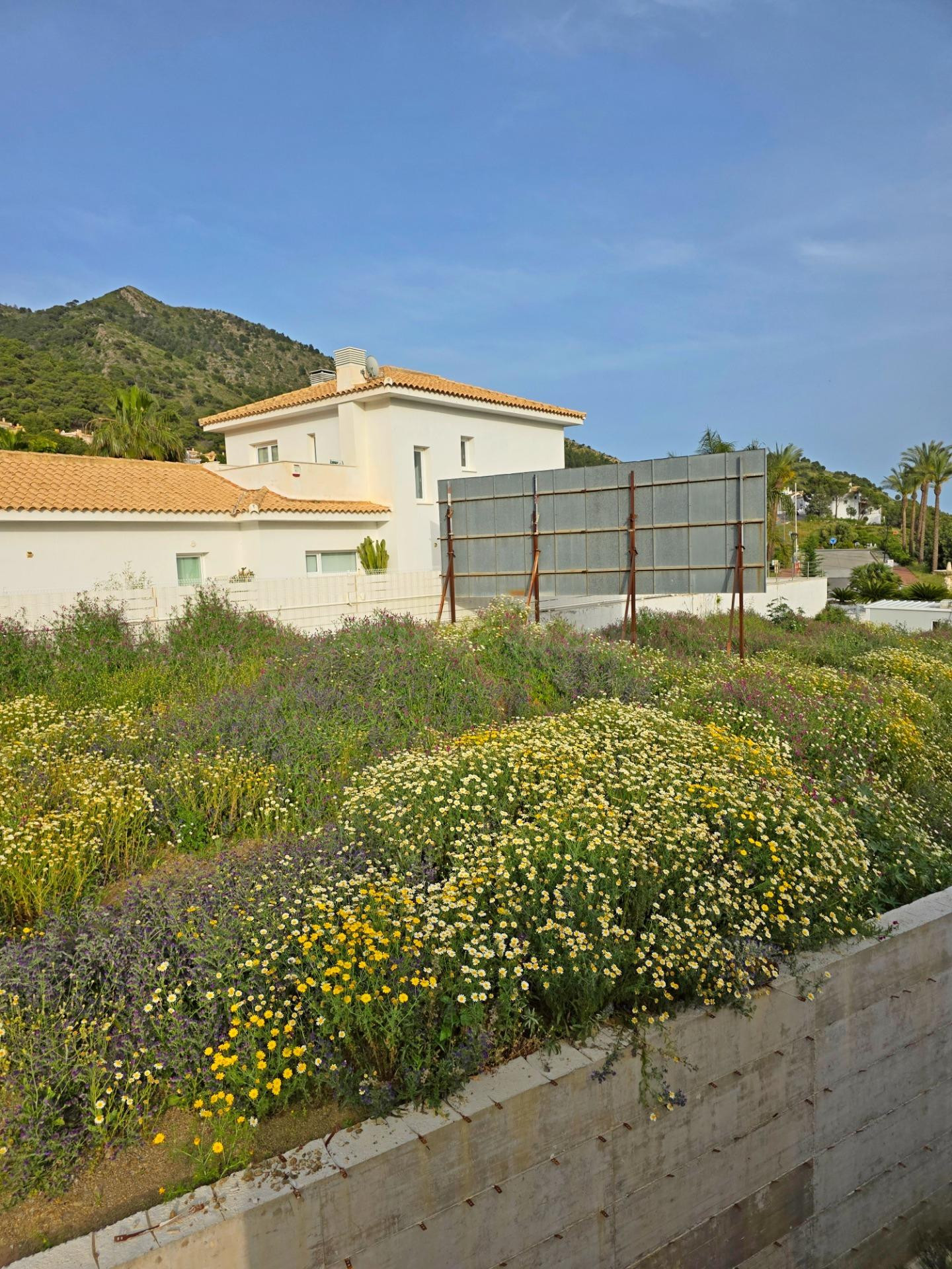 Parcela Urbana en Buenavista para chalet unifamiliar 807 Met - foto 4