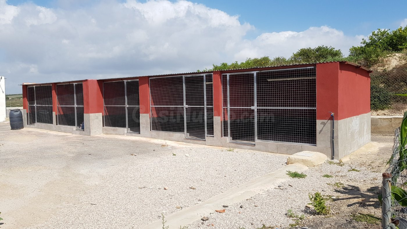 SE VENDE FINCA RÚSTICA DE 27.000 m Los Montesinos - foto 3