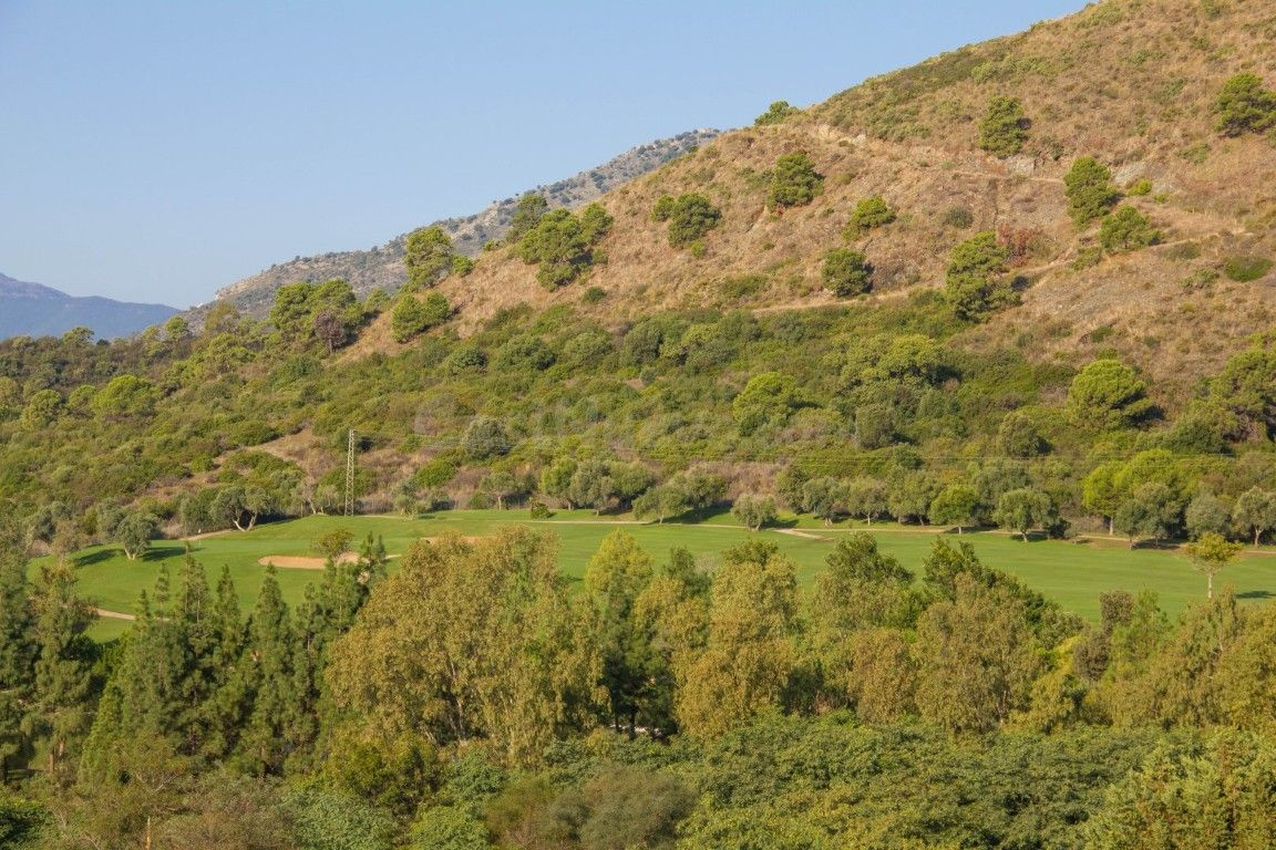 Peaceful Plot in Puerto del Almendro, Benahavis - foto 5
