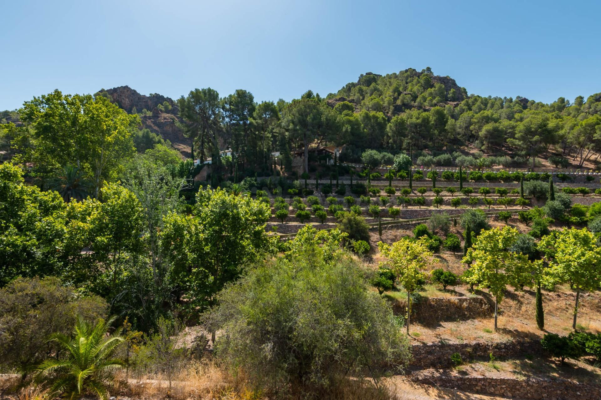 Chalet 5 habitaciones 228m² en venta - Algezares
