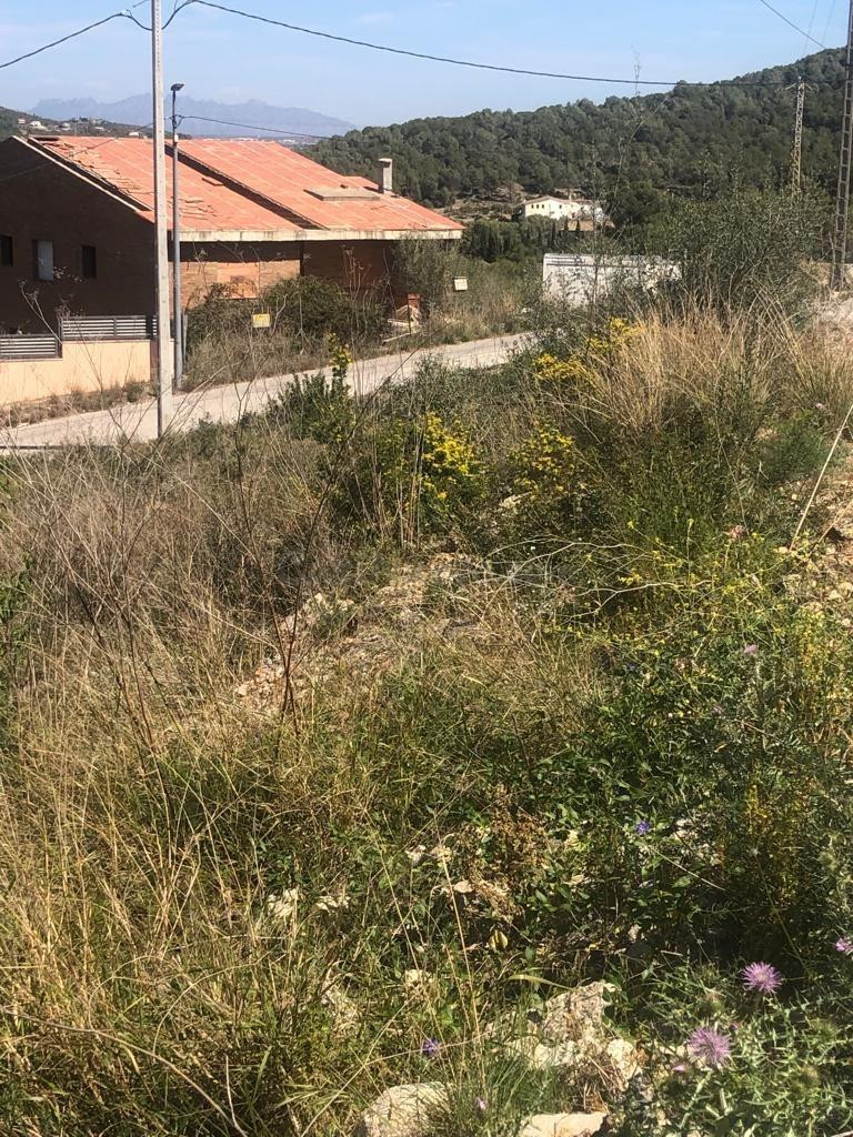 Parcela en venta - Les Palmeres - foto 2