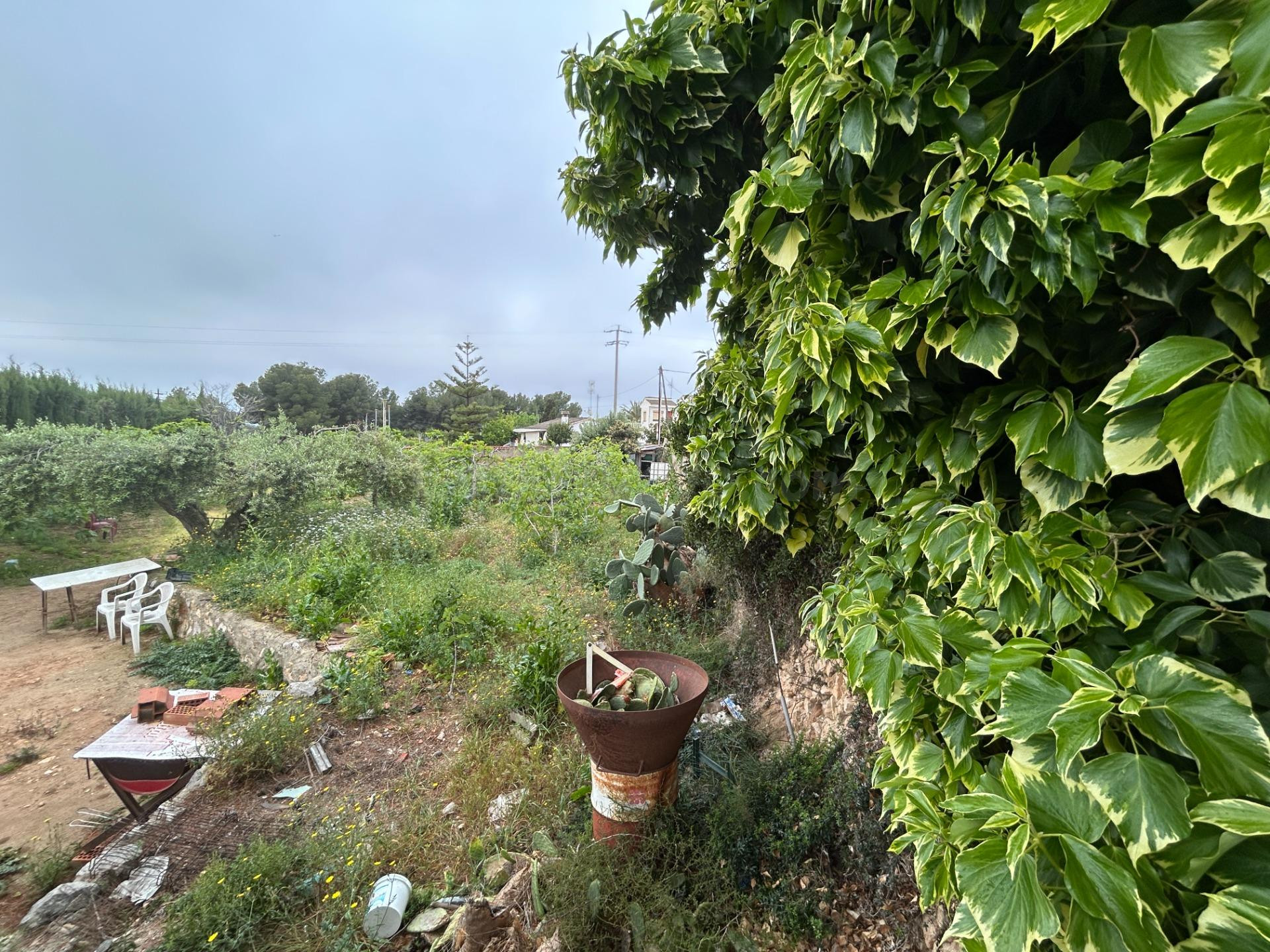 Parcela en venta - Mas Roquer - foto 4
