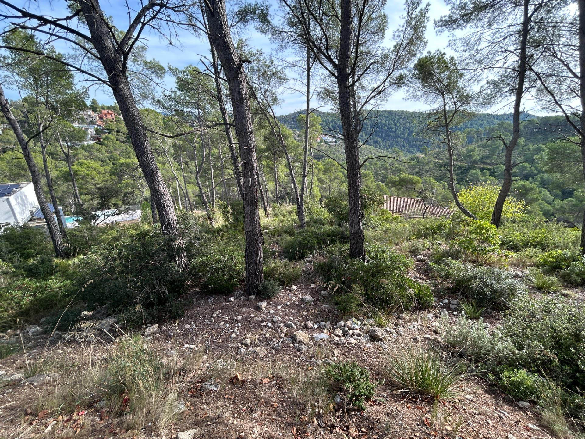 TERRENOS EN LAS COLINAS - foto 3