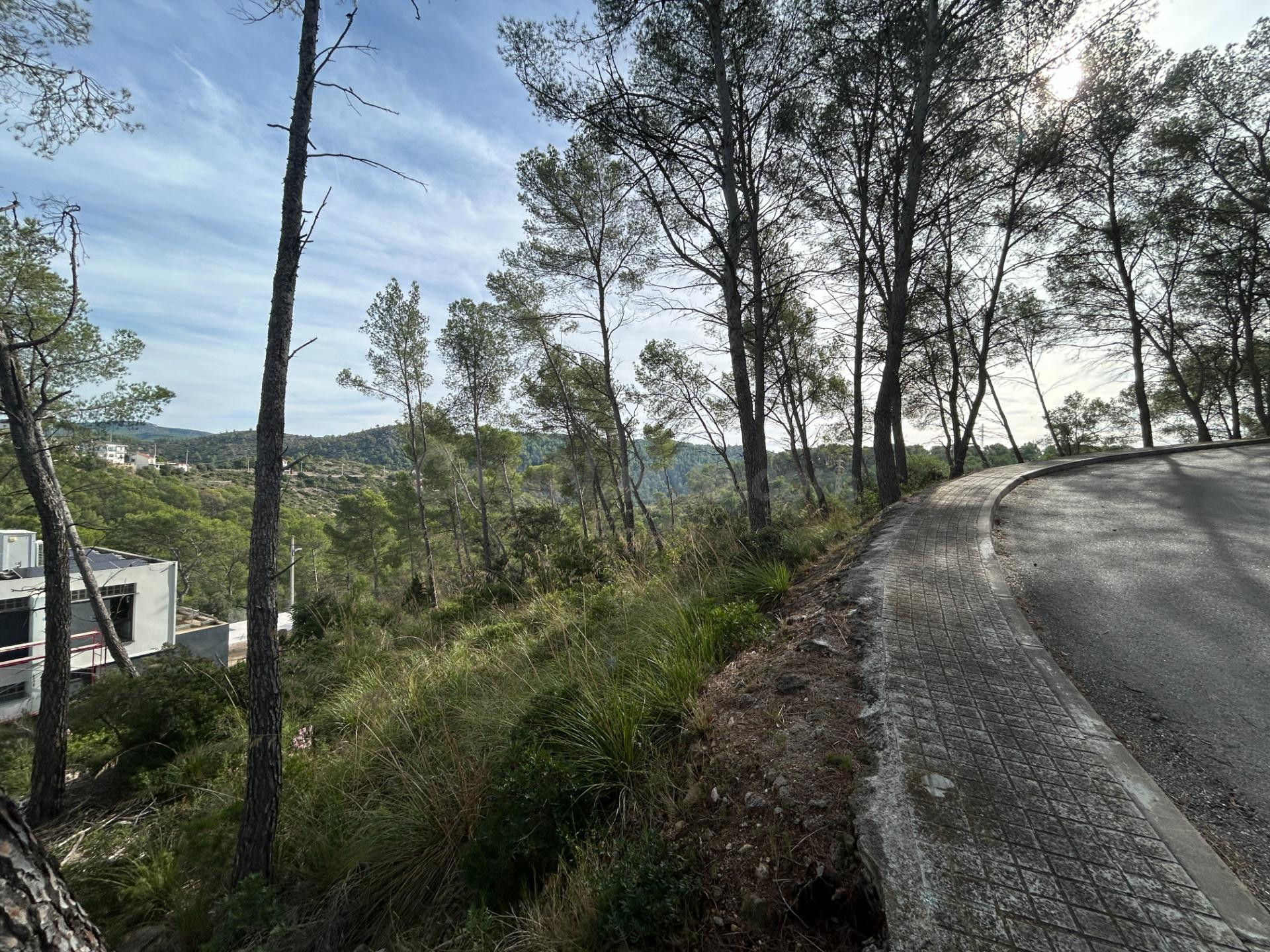 TERRENOS EN LAS COLINAS - foto 5