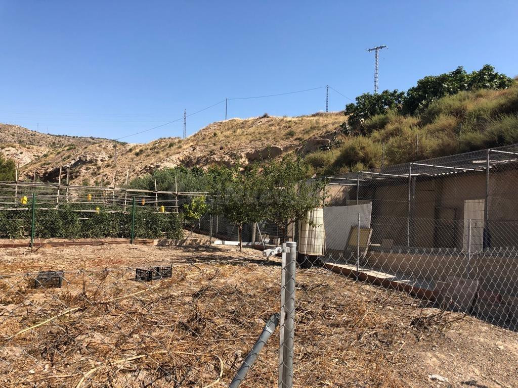 CASA DE CAMPO EN EL MISMO PUEBLO DE ELDA FRENTE MONTE BOLON - foto 5