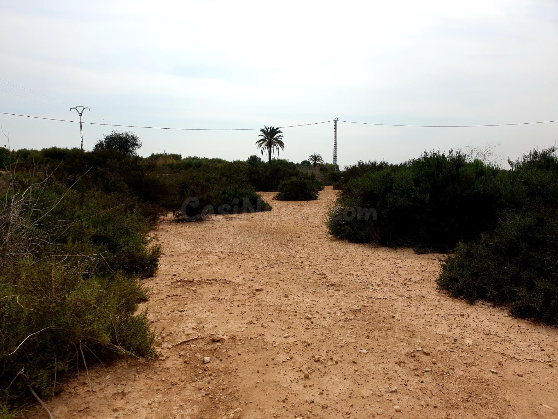 Terreno rural en venta - Partida amoros