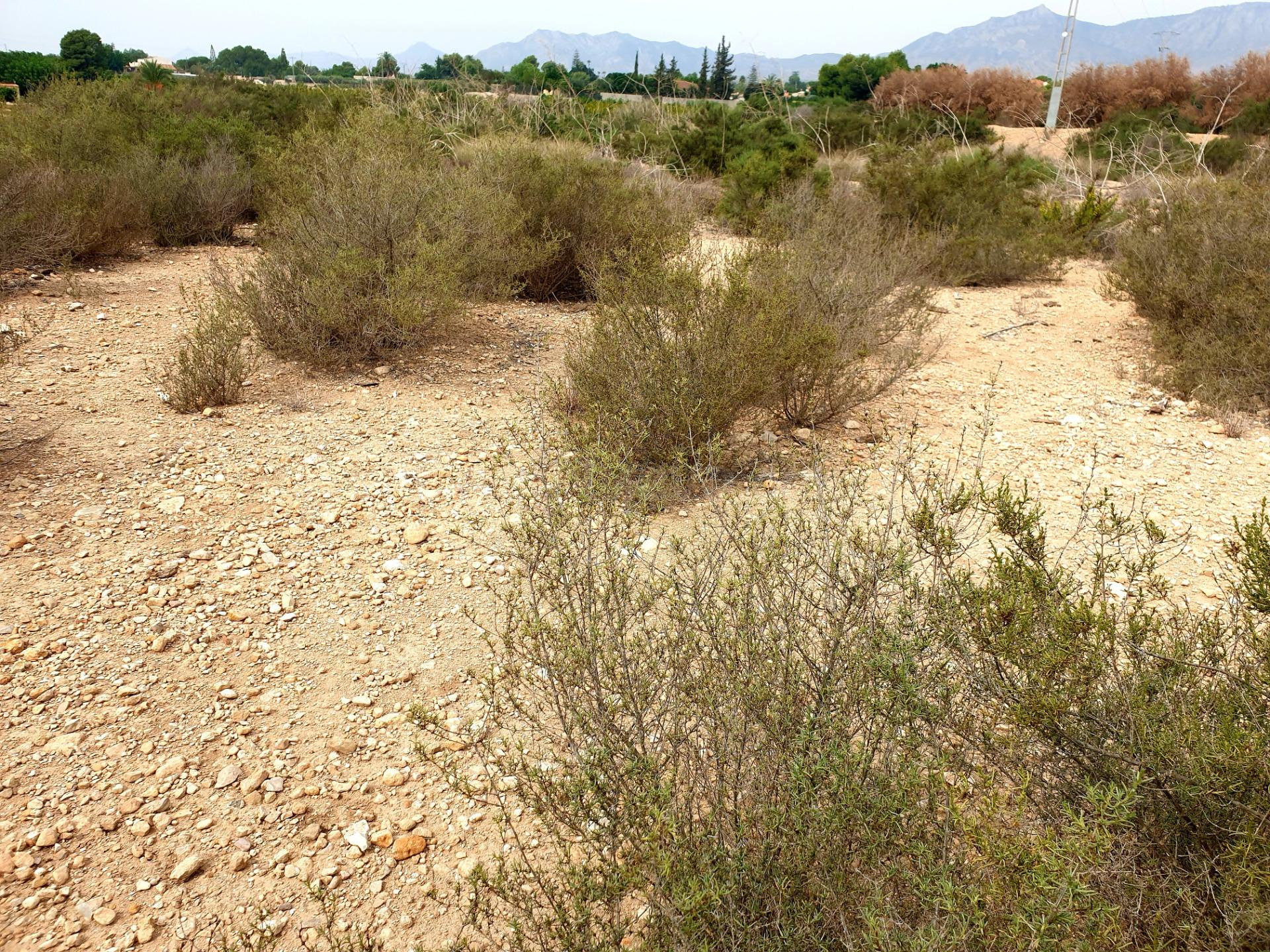 Terreno rural en venta - Partida amoros - foto 3