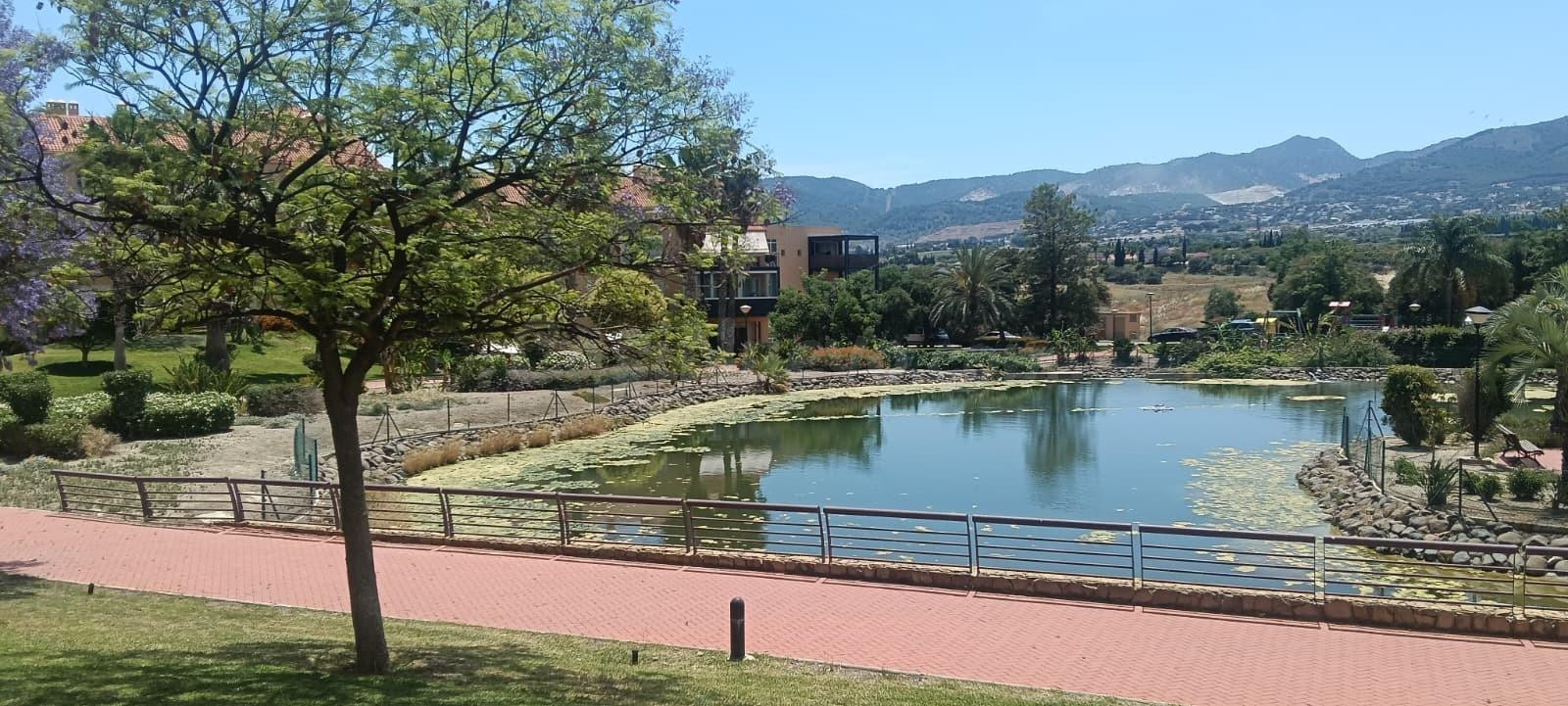 Oficina 778m² en alquiler - Alquería-Torrealquería - foto 4
