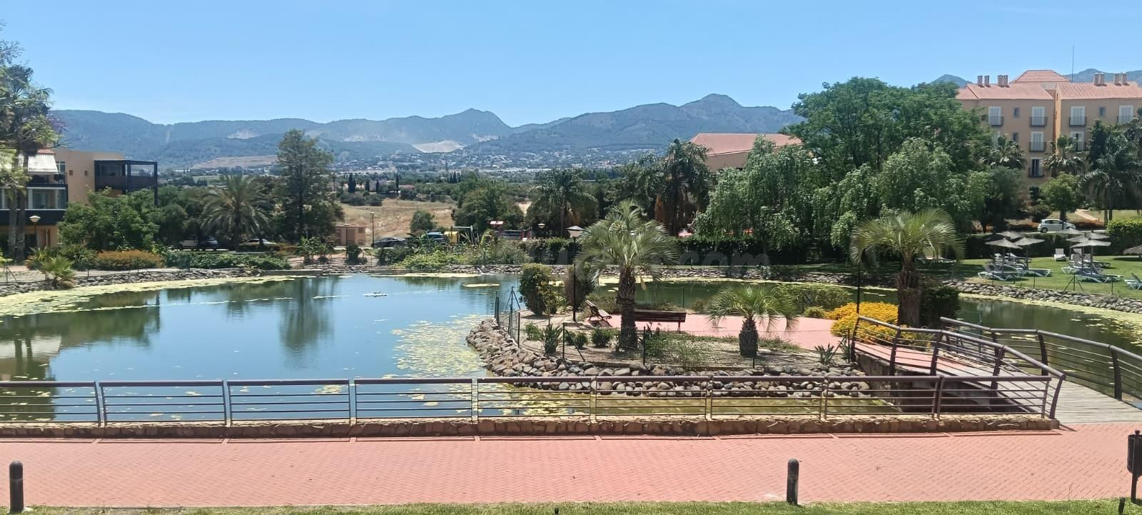 Oficina 778m² en alquiler - Alquería-Torrealquería - foto 5