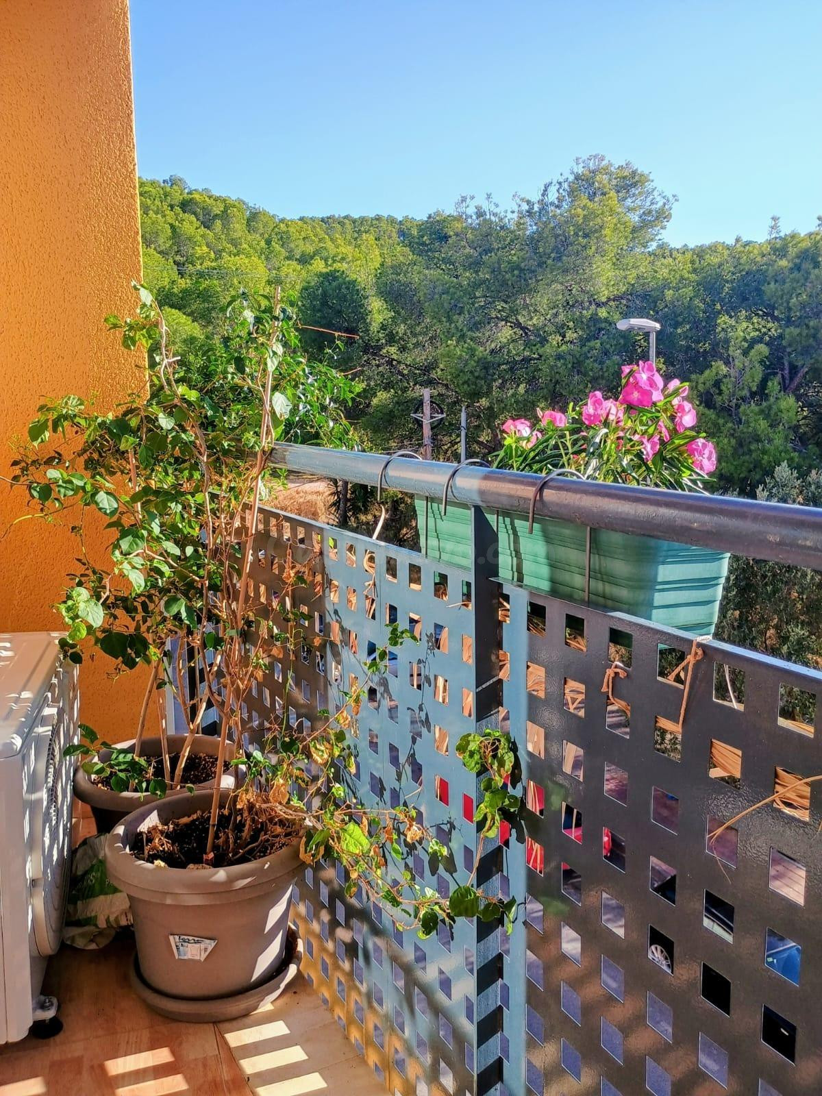 ¡Tu Loft en el Paraíso Natural! ✨