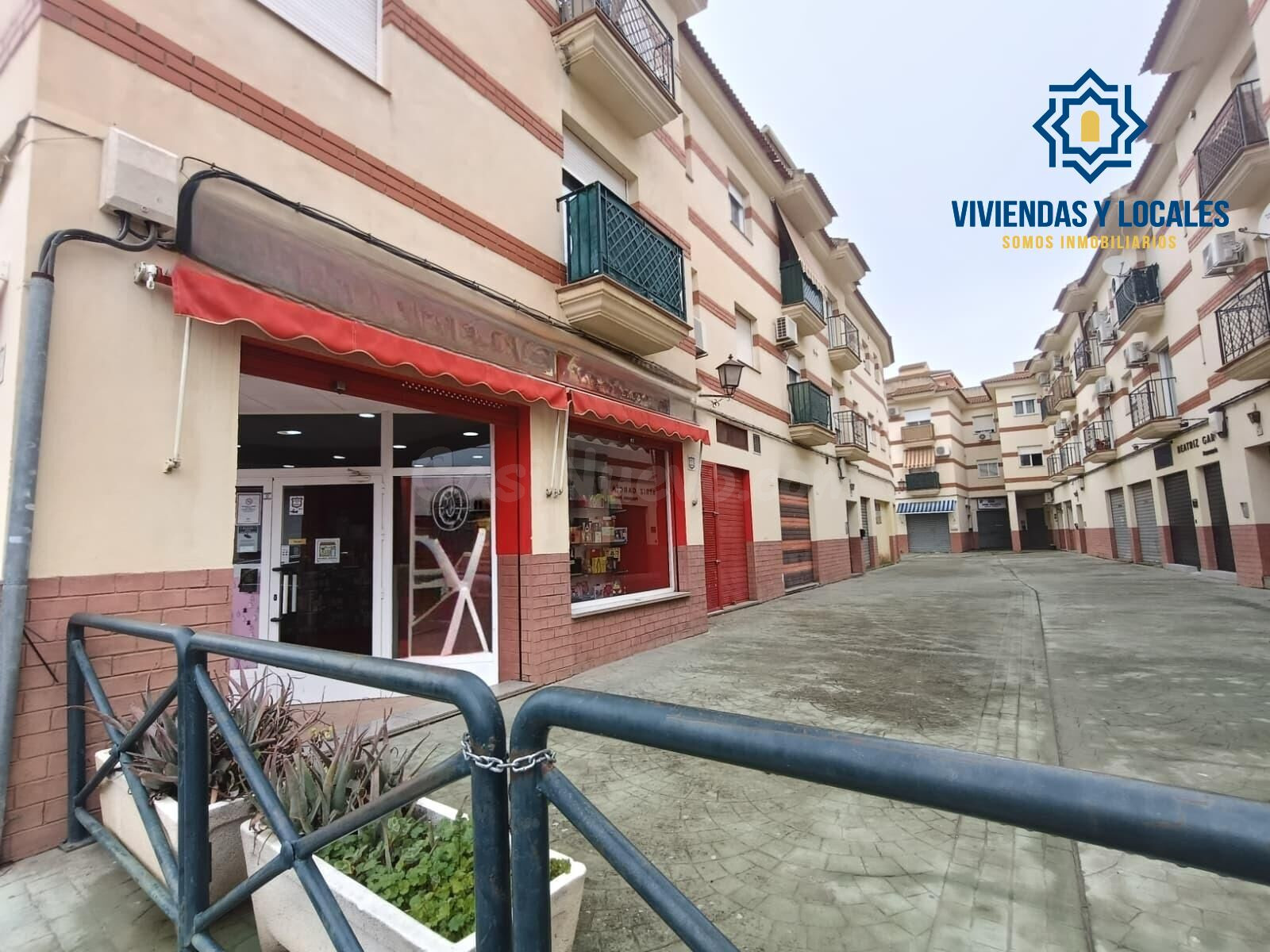 Oportunidad de traspaso en Cúllar Vega - foto 3
