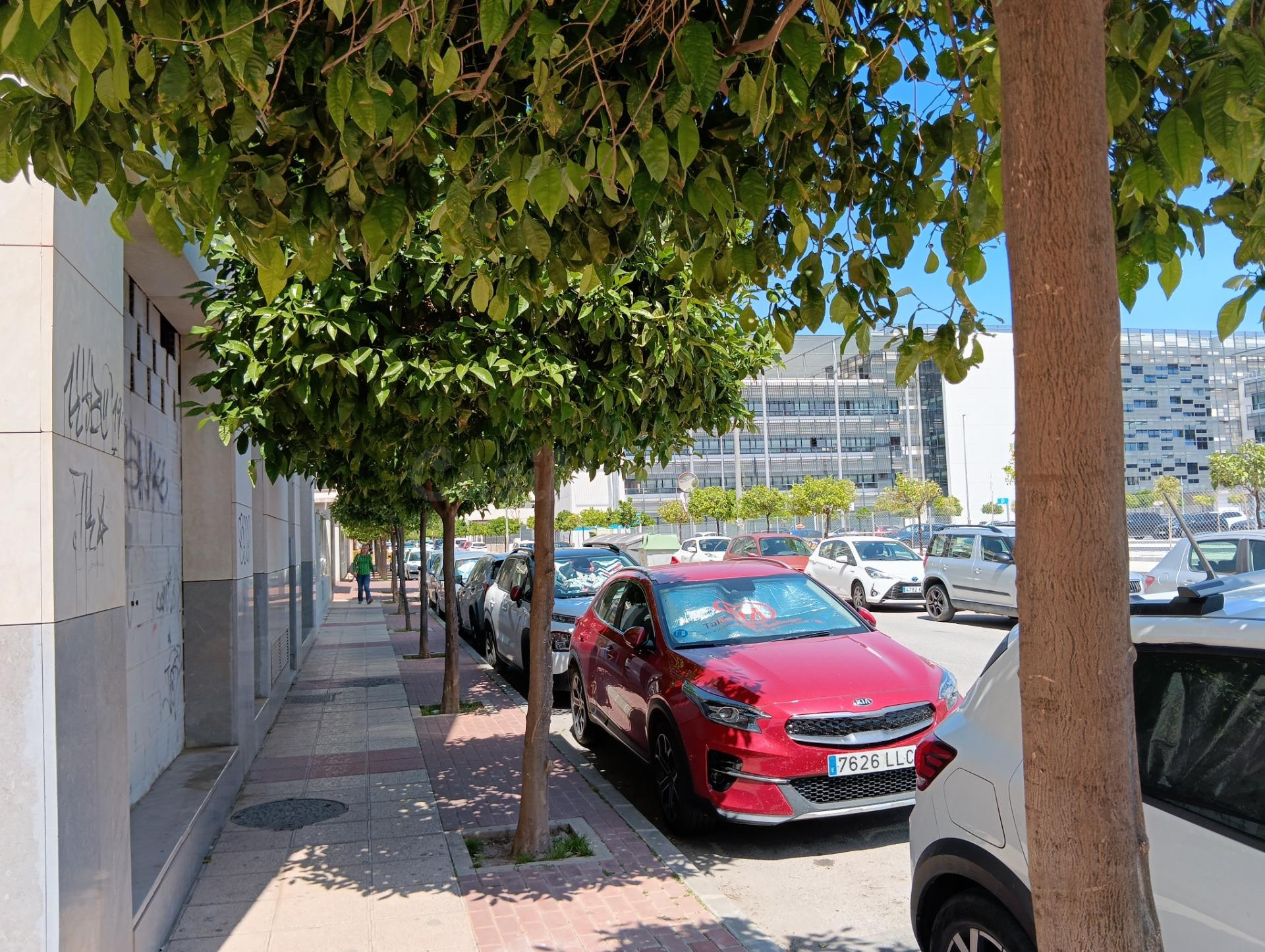Espacio corporativo de 300 m2 junto a Hacienda, con máxima v - foto 5