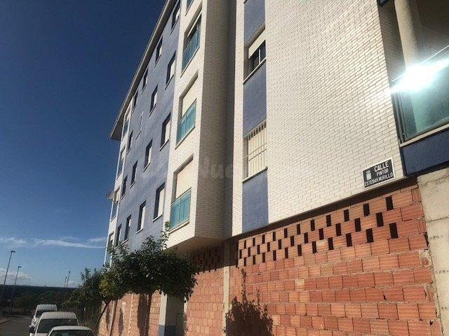 LOCAL COMERCIAL DE 219 m2 EN EL PALMAR – MURCIA - foto 2