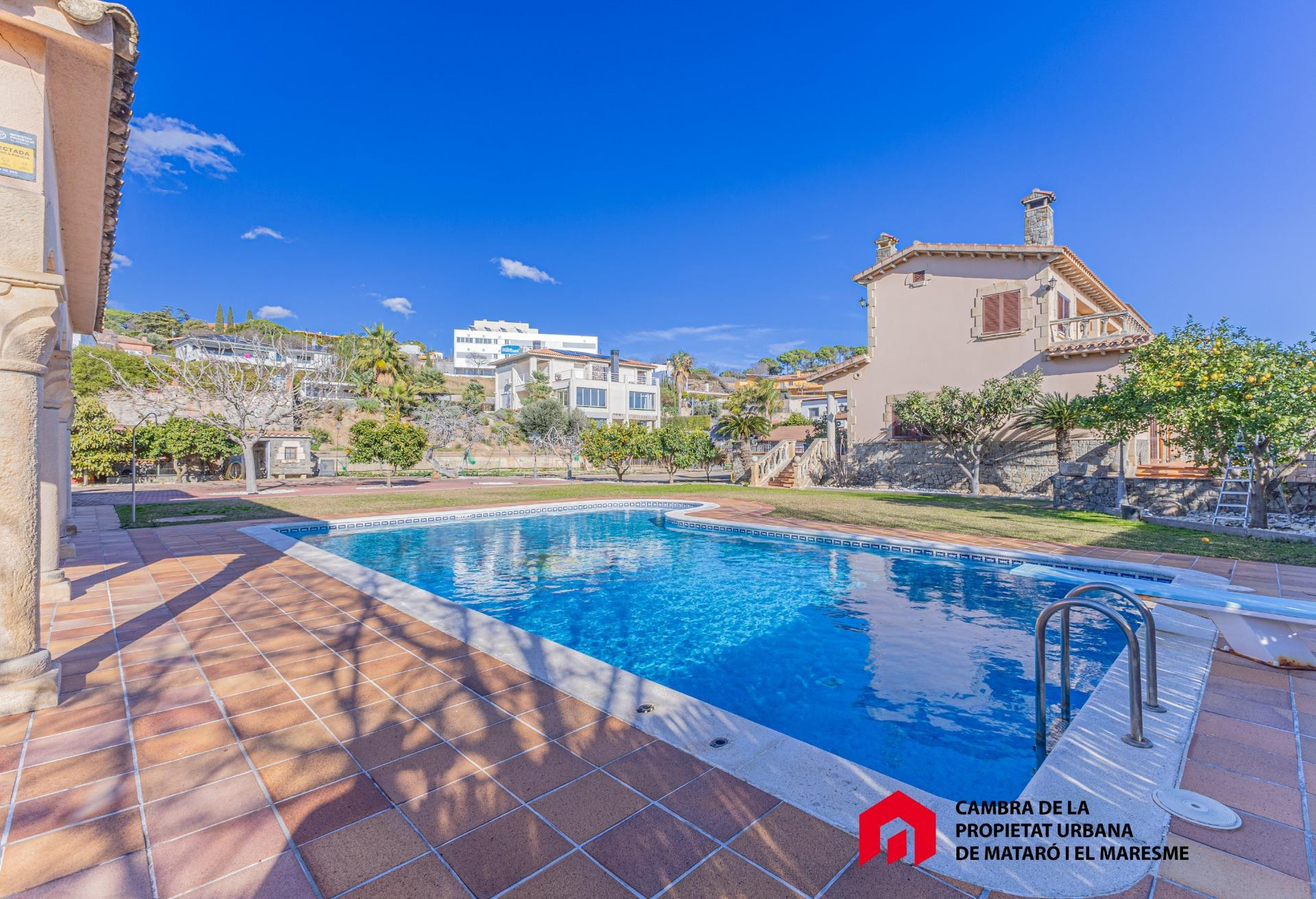 Espectacular finca, con jardín inmenso y piscina - foto 4