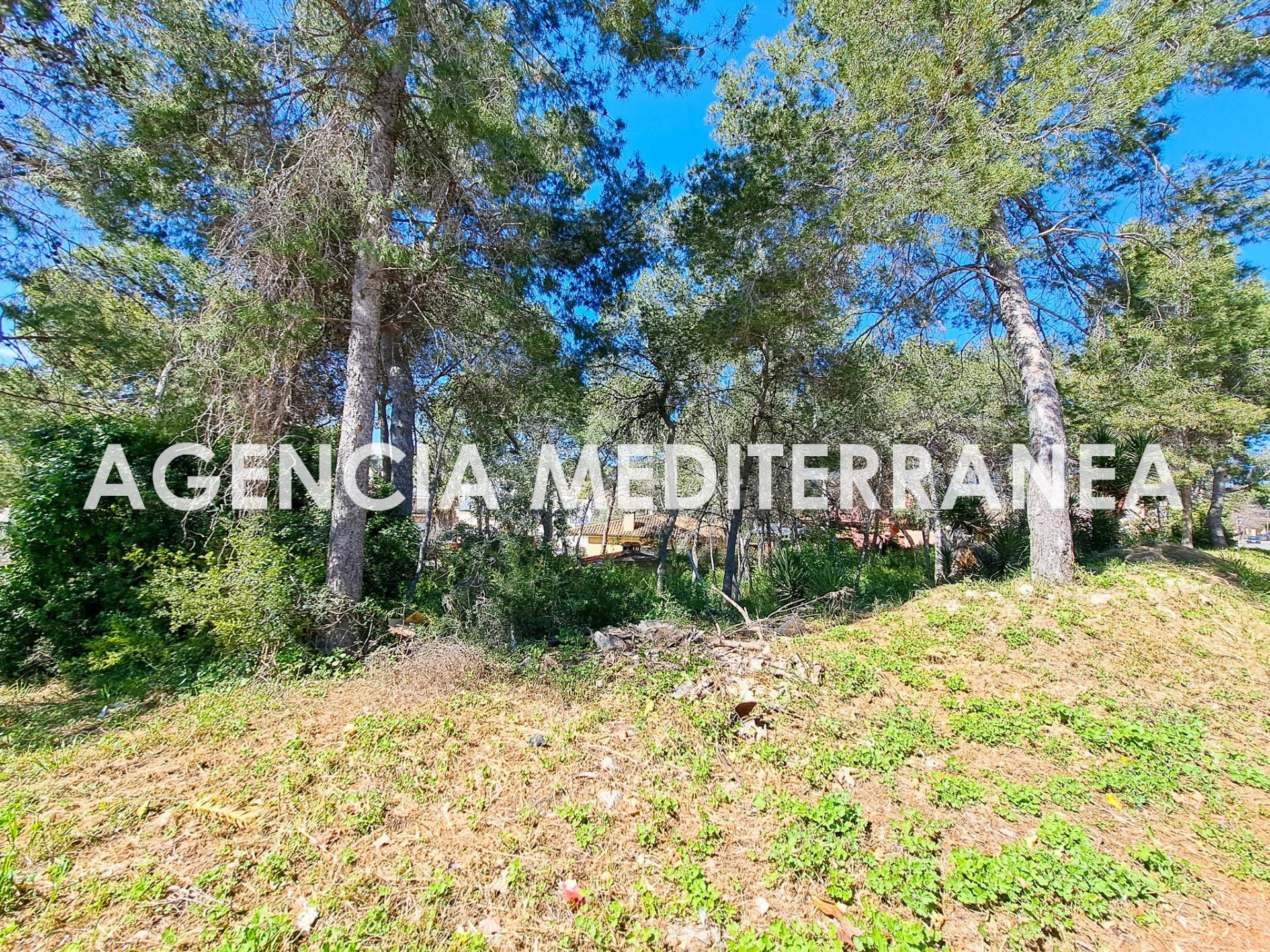 ¡Parcela en una de las mejores zonas de La Cañada! - foto 2