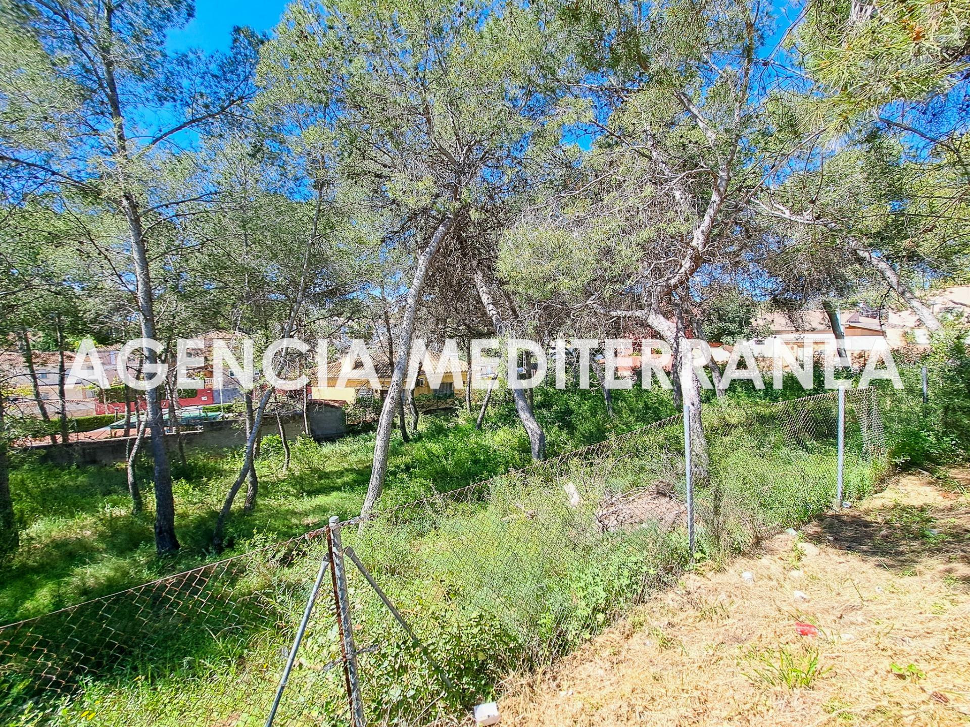 ¡Parcela en una de las mejores zonas de La Cañada! - foto 4