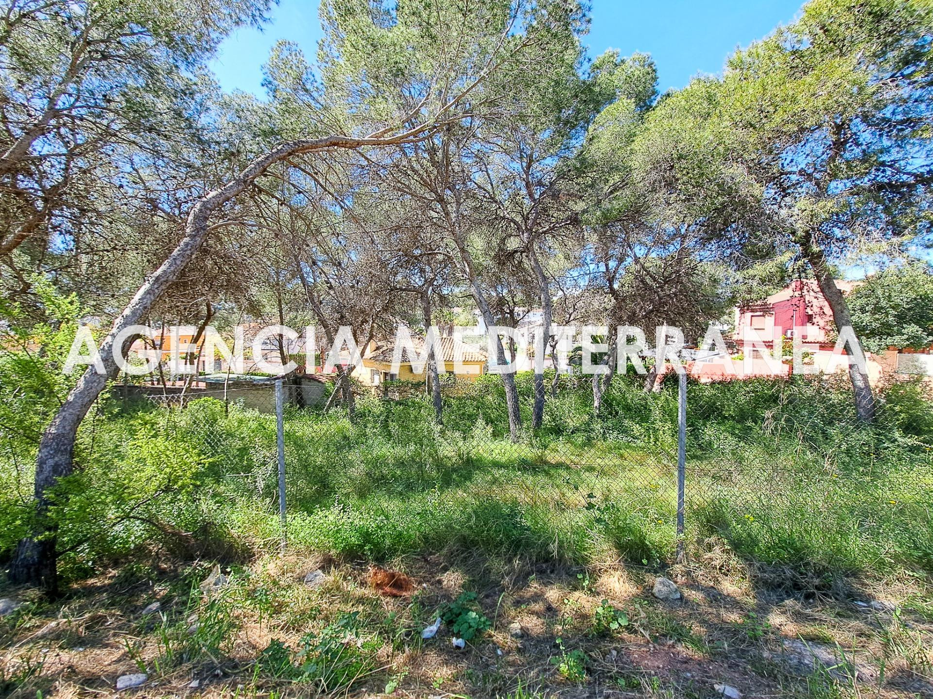 ¡Parcela en una de las mejores zonas de La Cañada! - foto 5