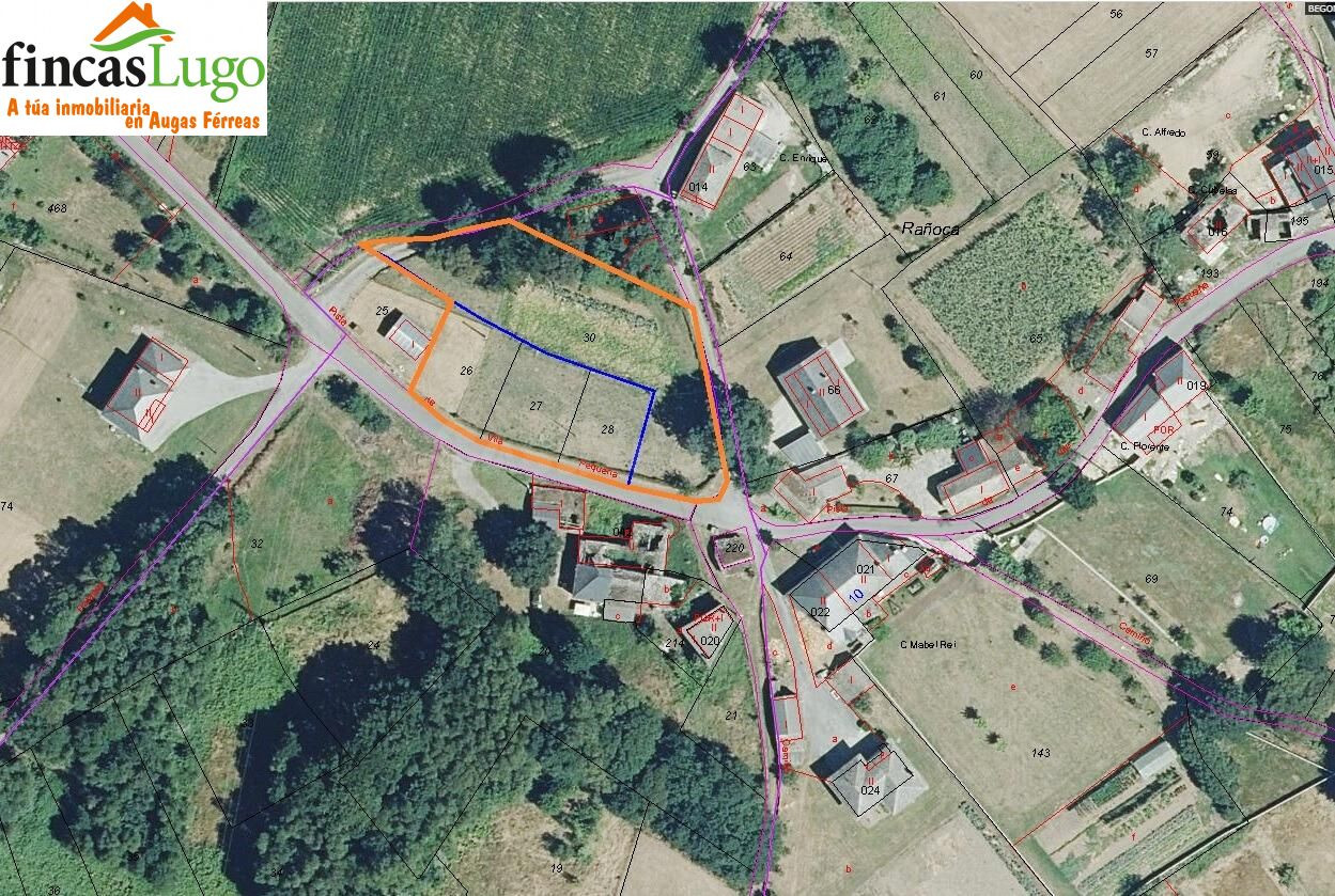 FINCA URBANIZABLE DE 1.524m en BEGONTE. - foto 2
