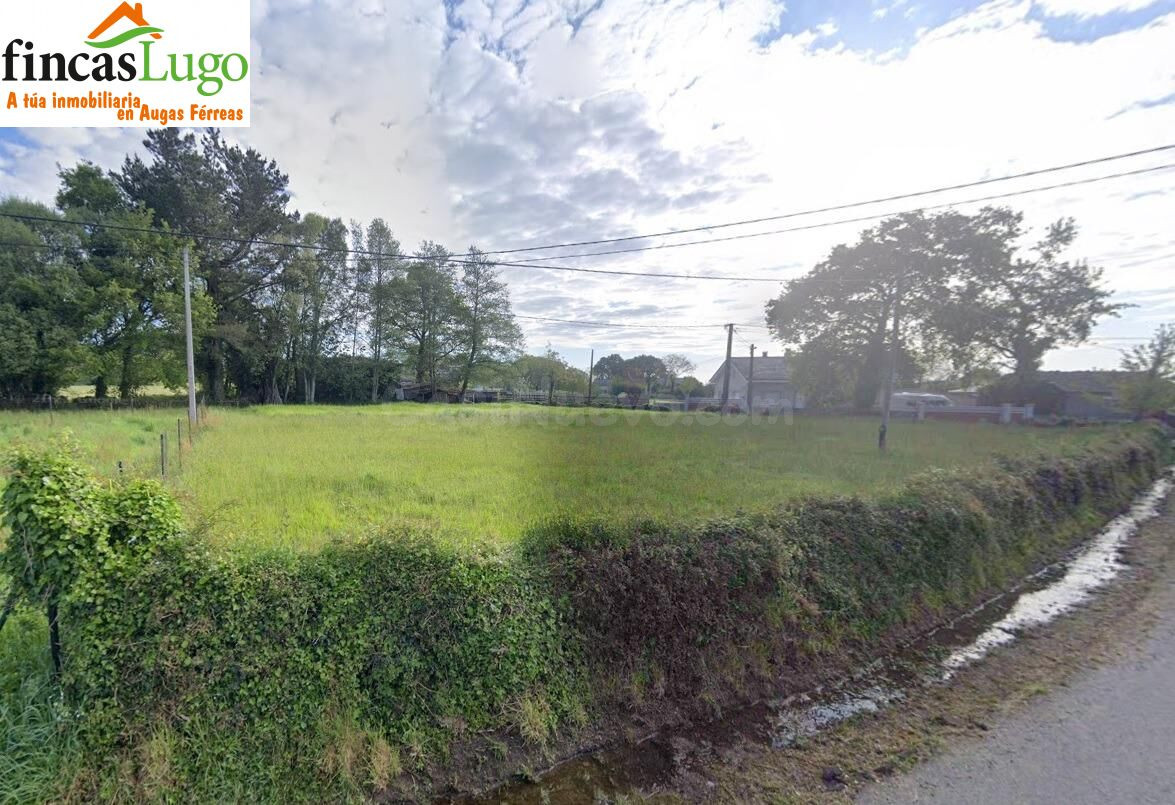 FINCA URBANIZABLE DE 1.524m en BEGONTE. - foto 4