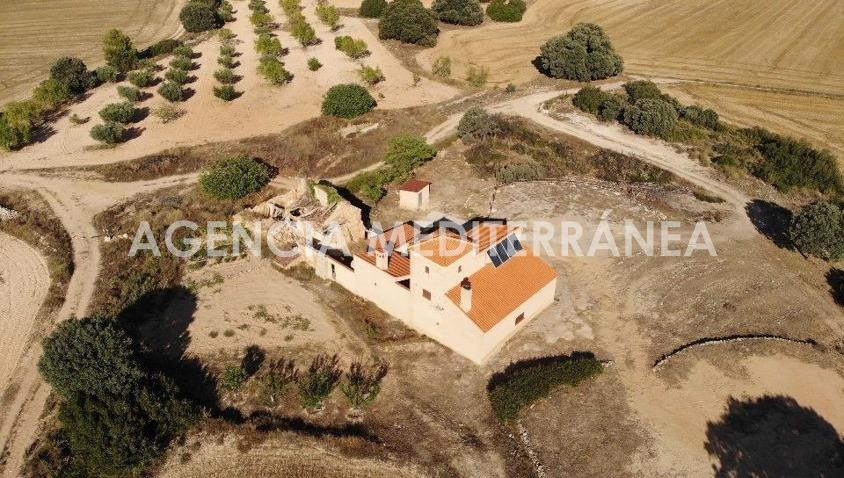 FINCA RÚSTICA EN ALMANSA, DE 100 HECTÁREAS CON CASA UNIFAMIL - foto 3