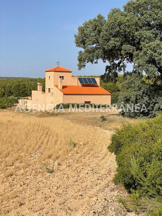 FINCA RÚSTICA EN ALMANSA, DE 100 HECTÁREAS CON CASA UNIFAMIL - foto 4