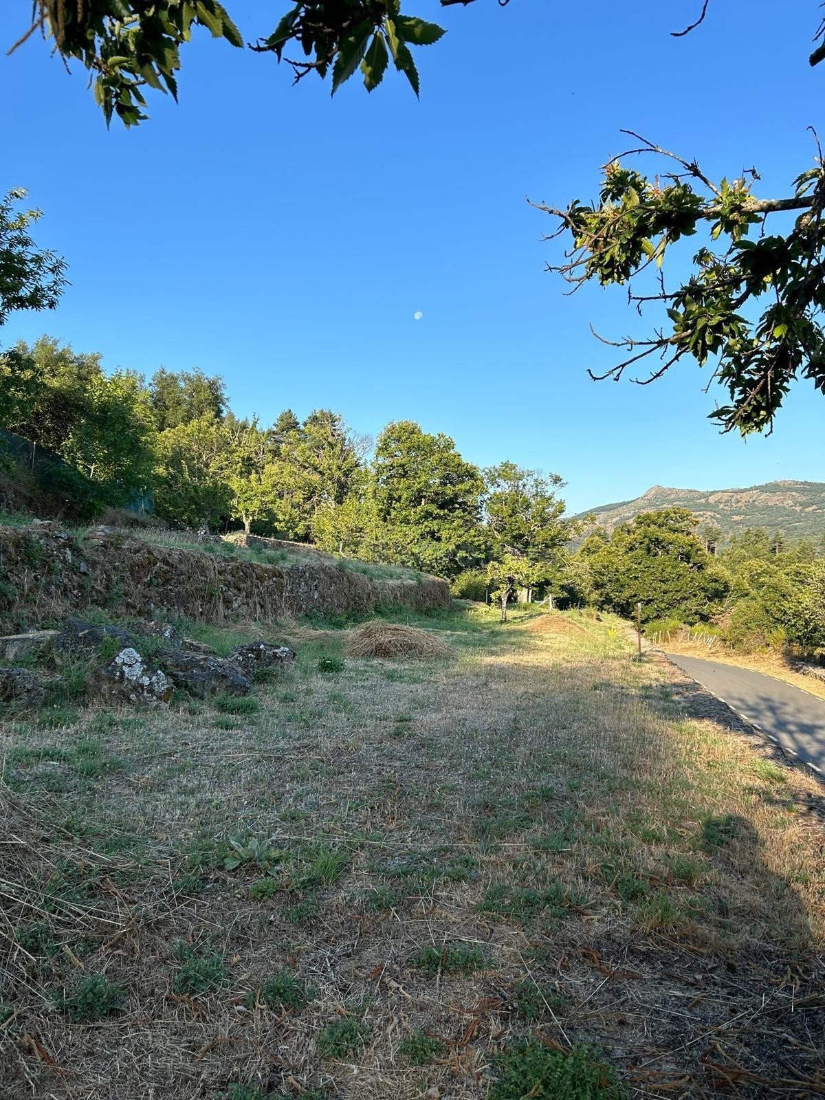 VENTA FINCA RÚSTICA CANDELARIO - foto 4