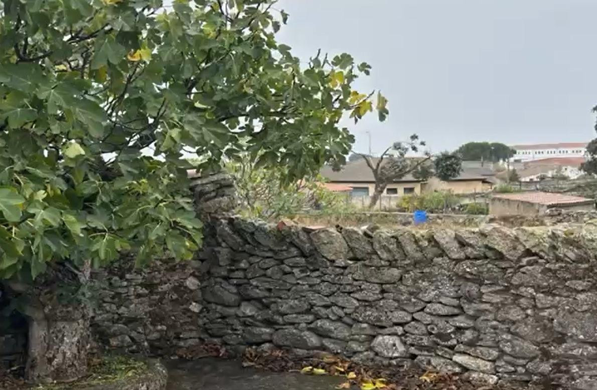 VENTA CASA VILLASECO DE LOS GAMITOS - foto 2