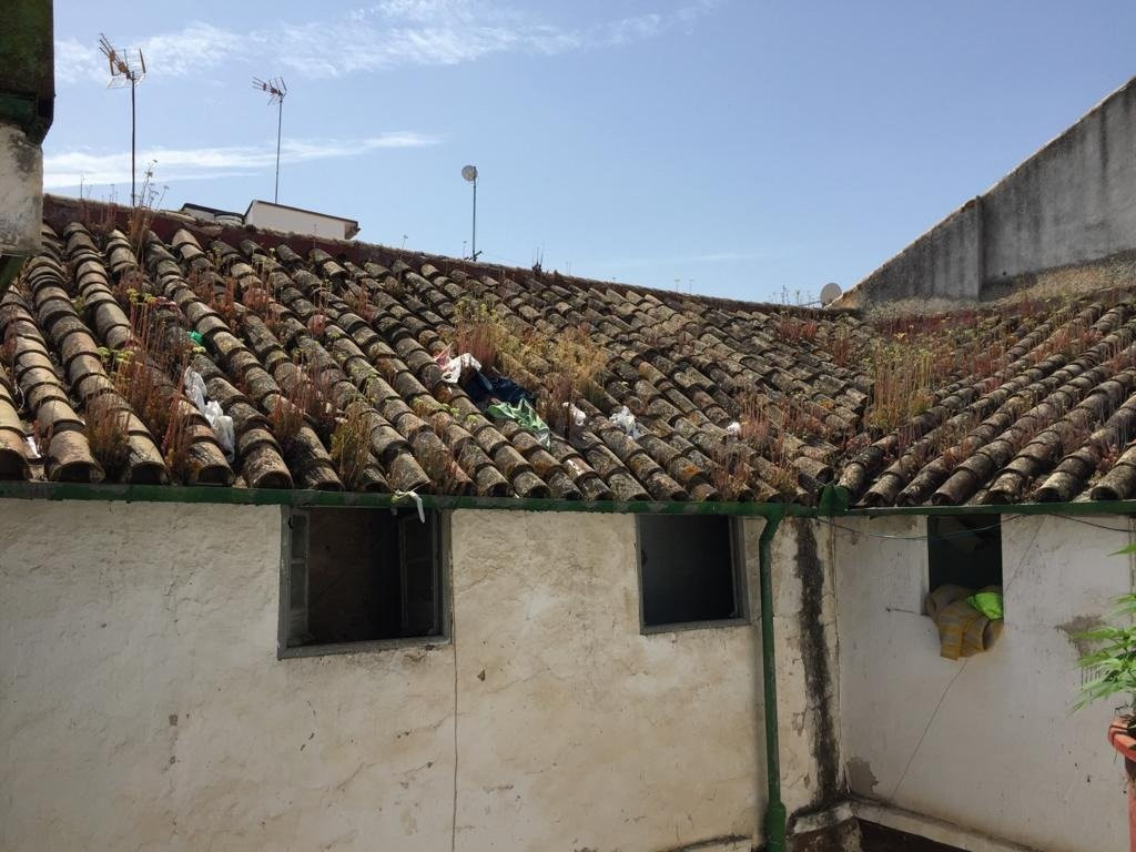 Solar 317m² en venta - Juderia - foto 3