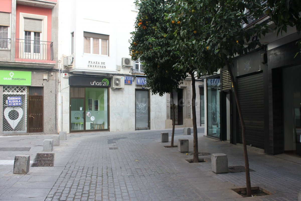 Local comercial 126m² en venta - Centro - foto 2