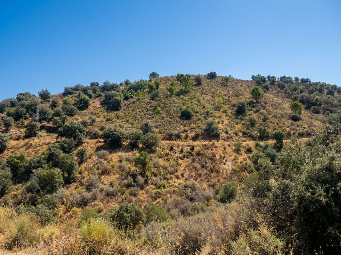 OPORTUNIDAD EN MONDA 8.000 m2 DE TERRENO RÚSTICO