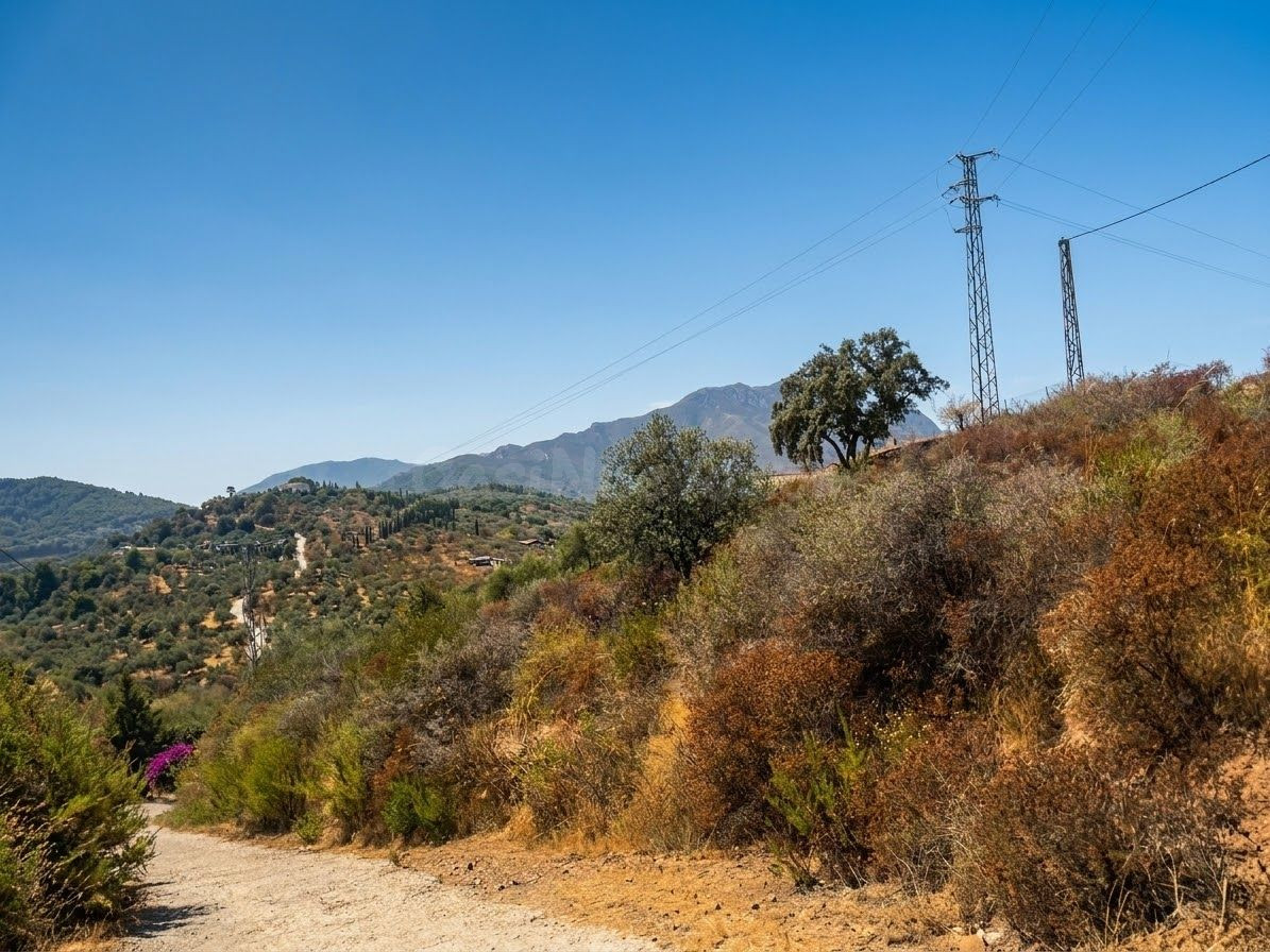 OPORTUNIDAD EN MONDA 8.000 m2 DE TERRENO RÚSTICO - foto 2