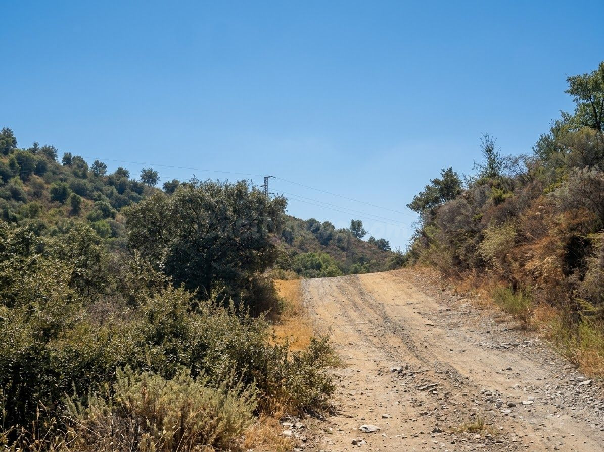 OPORTUNIDAD EN MONDA 8.000 m2 DE TERRENO RÚSTICO - foto 3