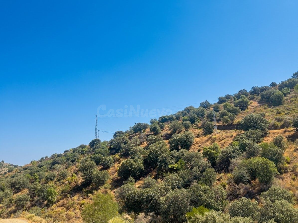 OPORTUNIDAD EN MONDA 8.000 m2 DE TERRENO RÚSTICO - foto 5