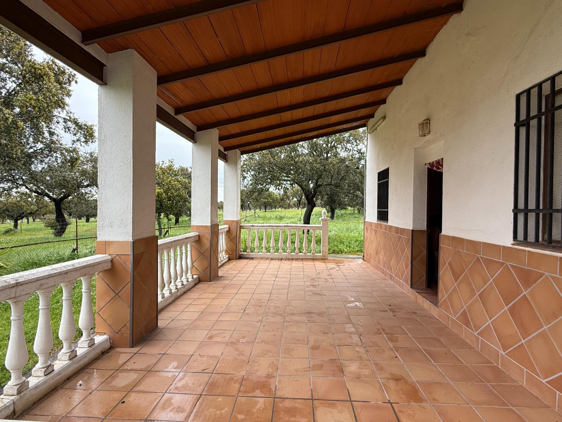 DEHESA EL ALFILEJO – ALCARACEJOS