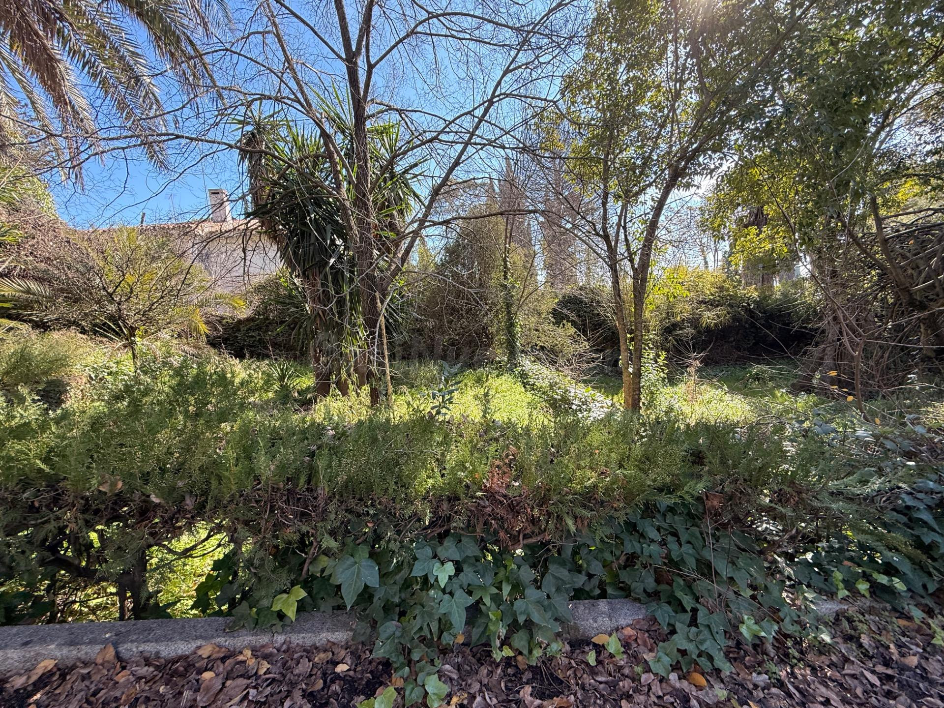 UNA PARCELA IDEAL DE 955 M2 EN EL BRILLANTE - foto 4