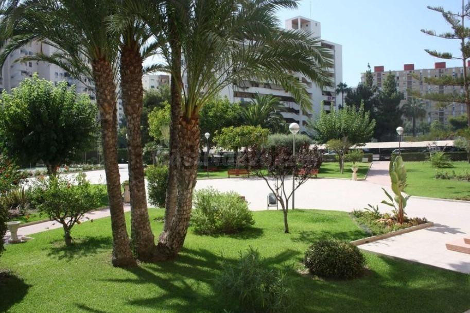 PLAYA SAN JUAN- Alquiler - foto 2