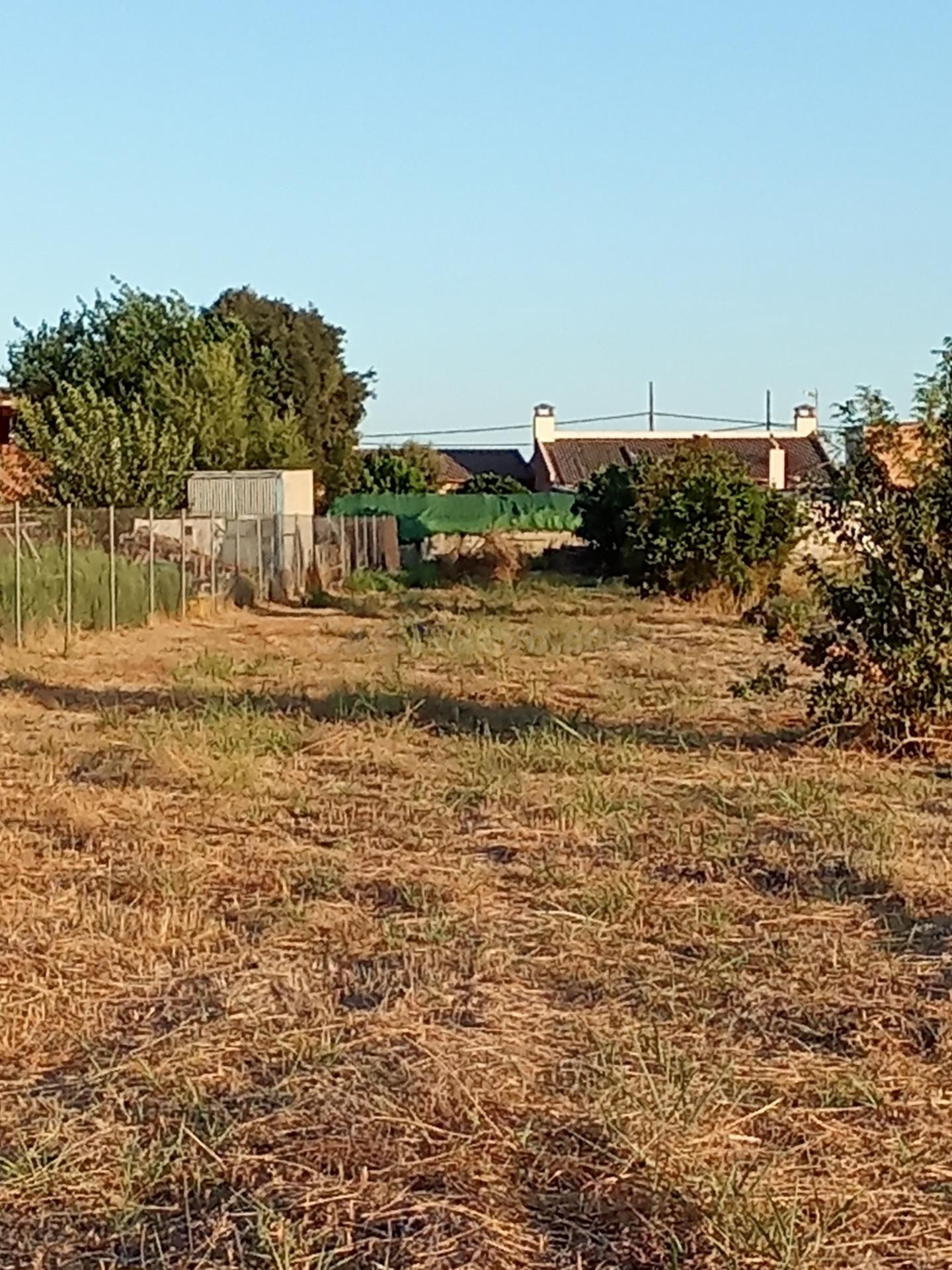 Terreno de regadío en venta para uso agrario